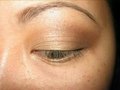 Make-up - Neutral Browns Tutorial
